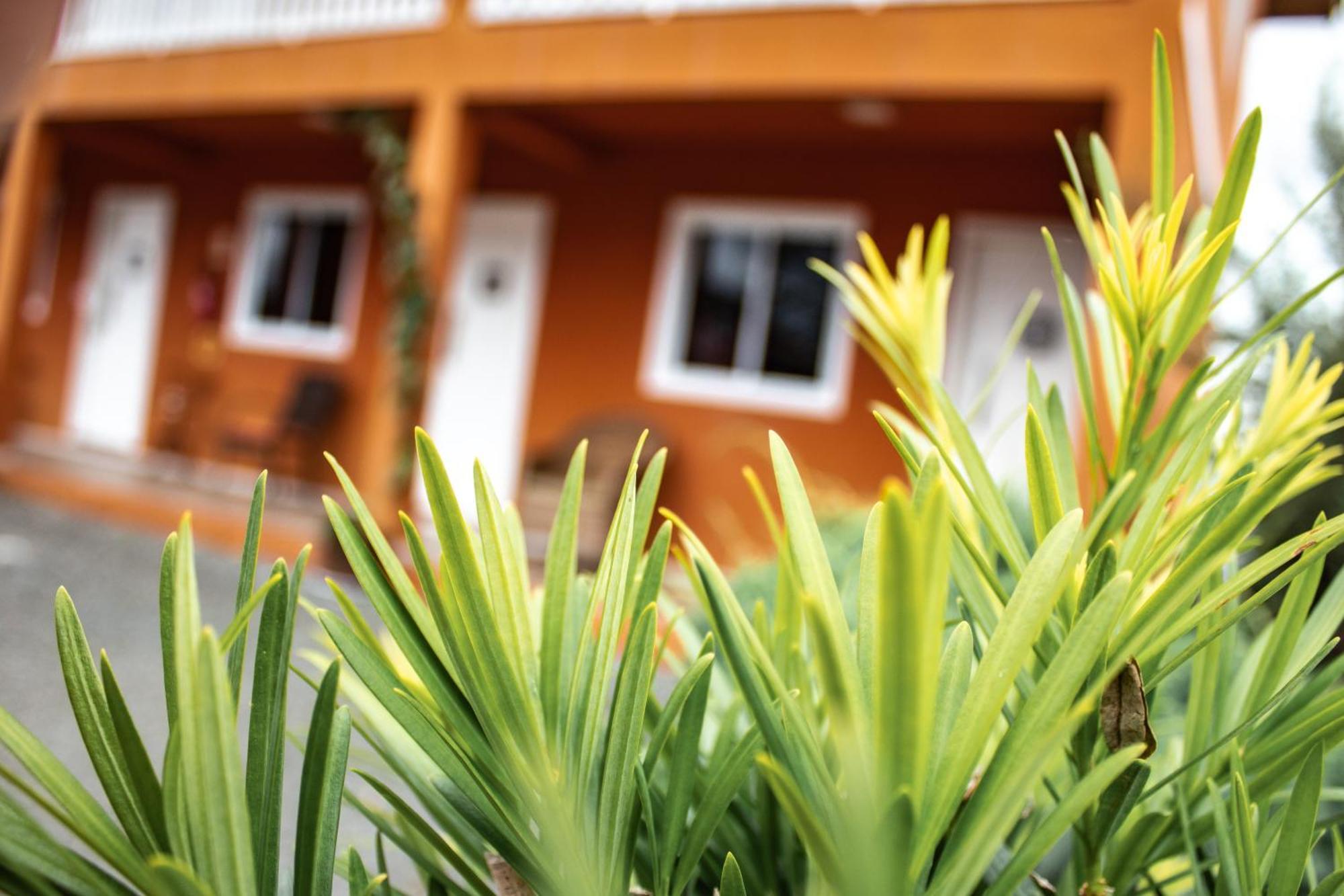 Apartamentos De Altitude Urubici Dış mekan fotoğraf